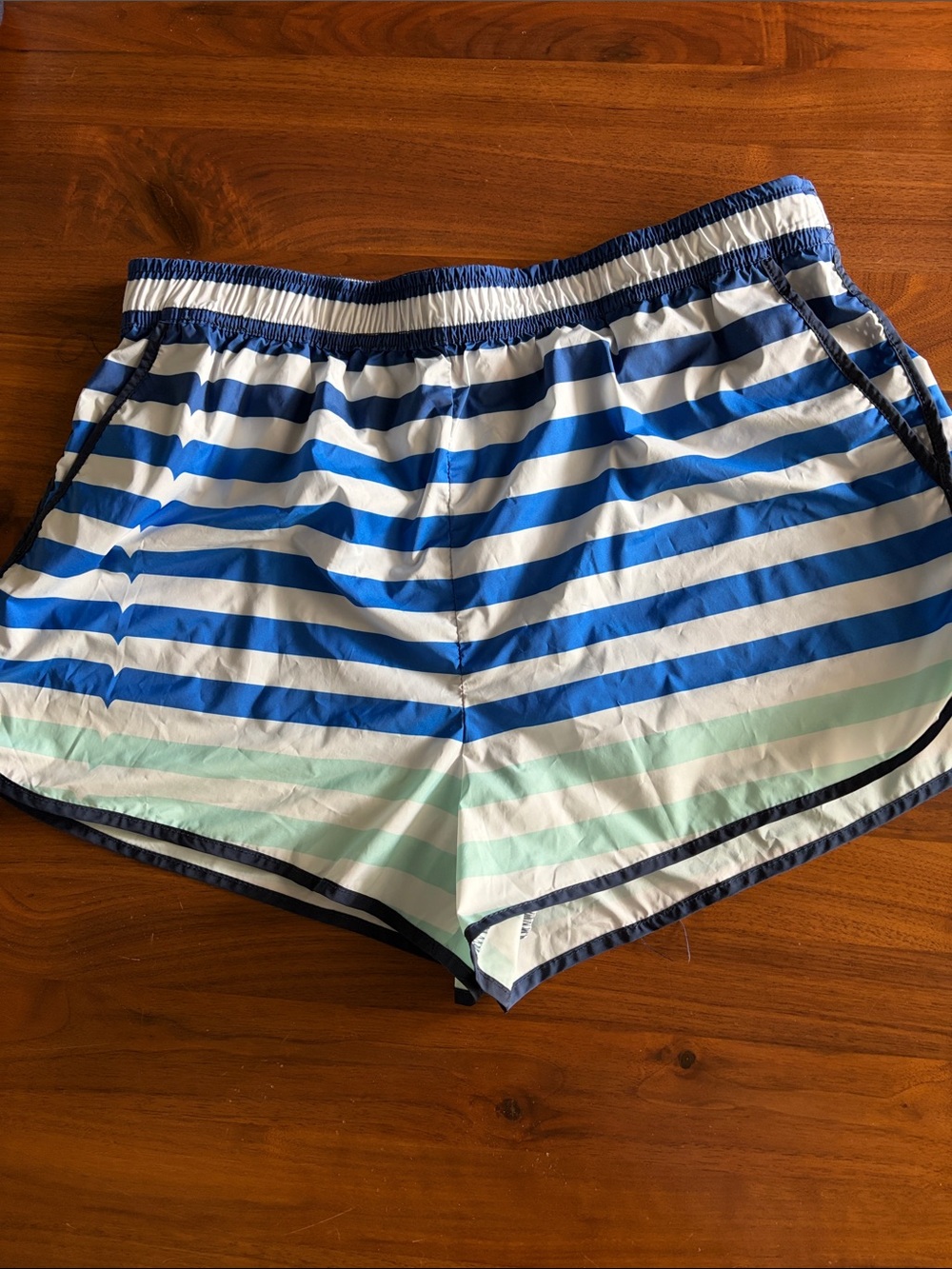 Hunter for Target Blue White Striped Shorts | M